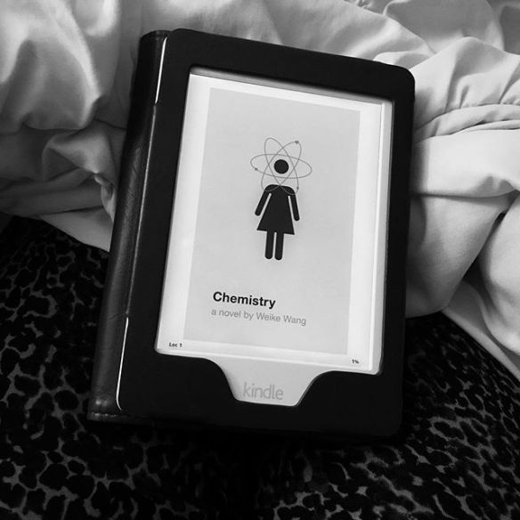 18879482_628653357333658_2716784311863869440_n