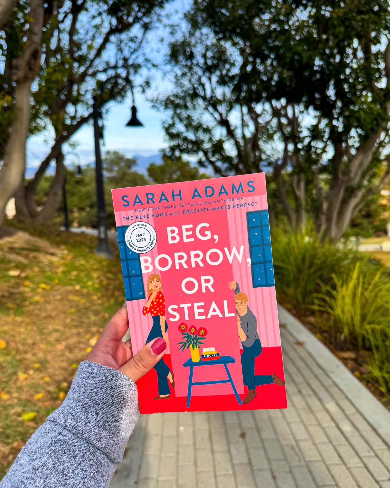 Review Beg, Borrow, or Steal Asha Reads